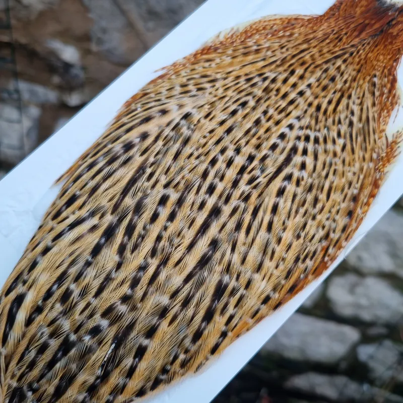 Whiting Hebert Miner Hen Cape in Barred Dark Ginger-4